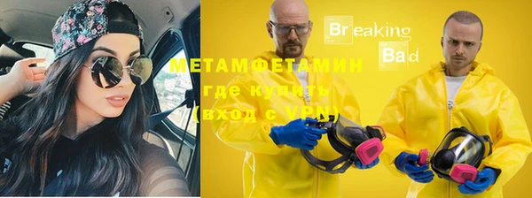 сатива Верея