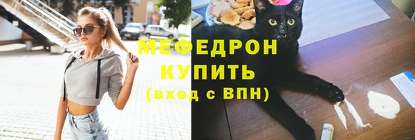 сатива Верея