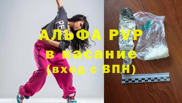 сатива Верея