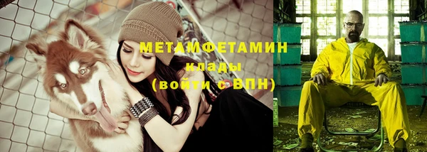 сатива Верея