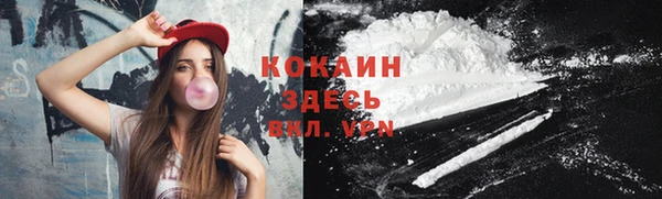 сатива Верея